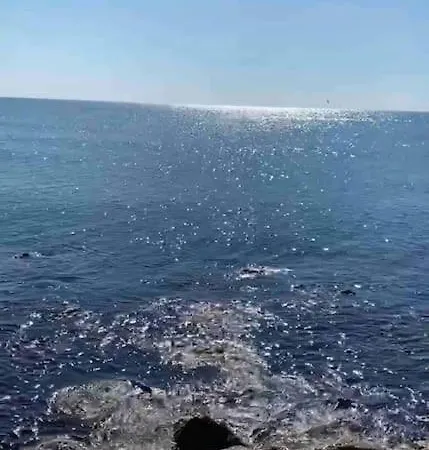 Le Mazet * Νιμ